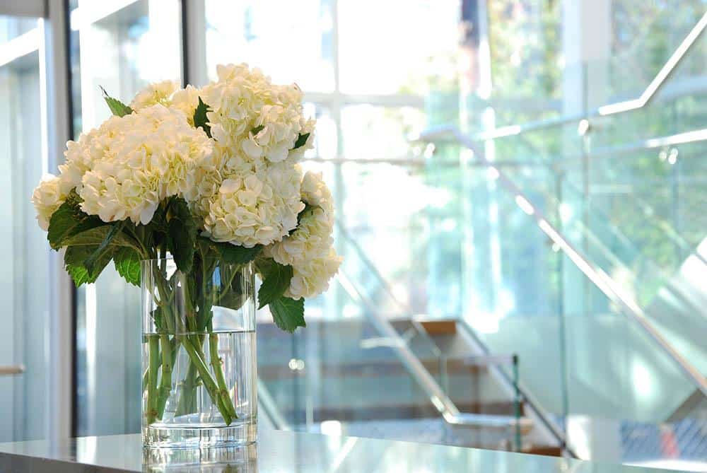 FLowers In A Glass Vase | Biotrial